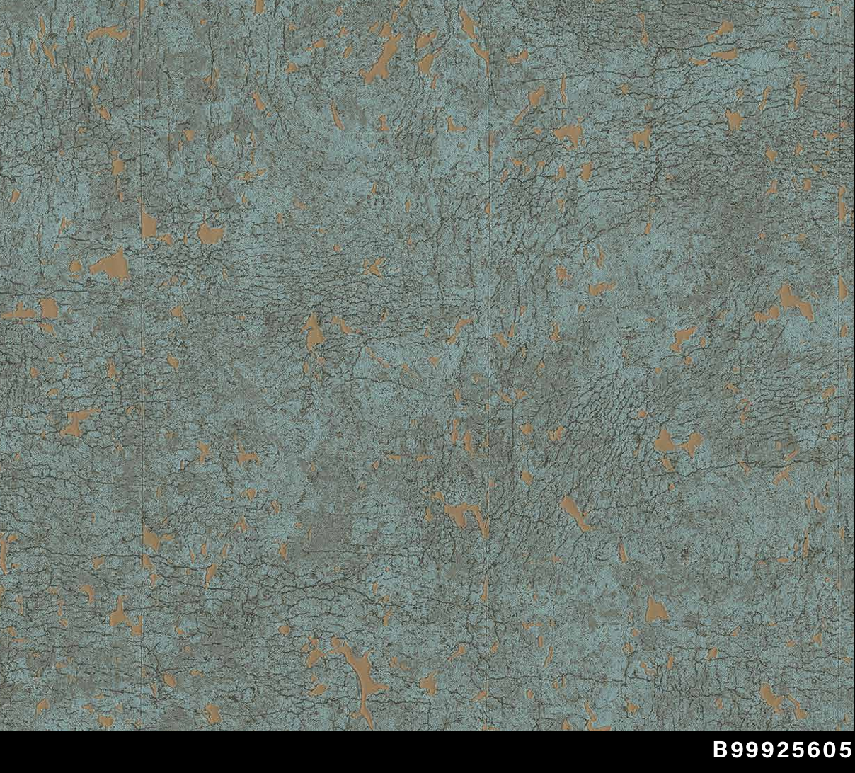 Papel de Colgadura Valentino B99925605 (Rollo Doble)