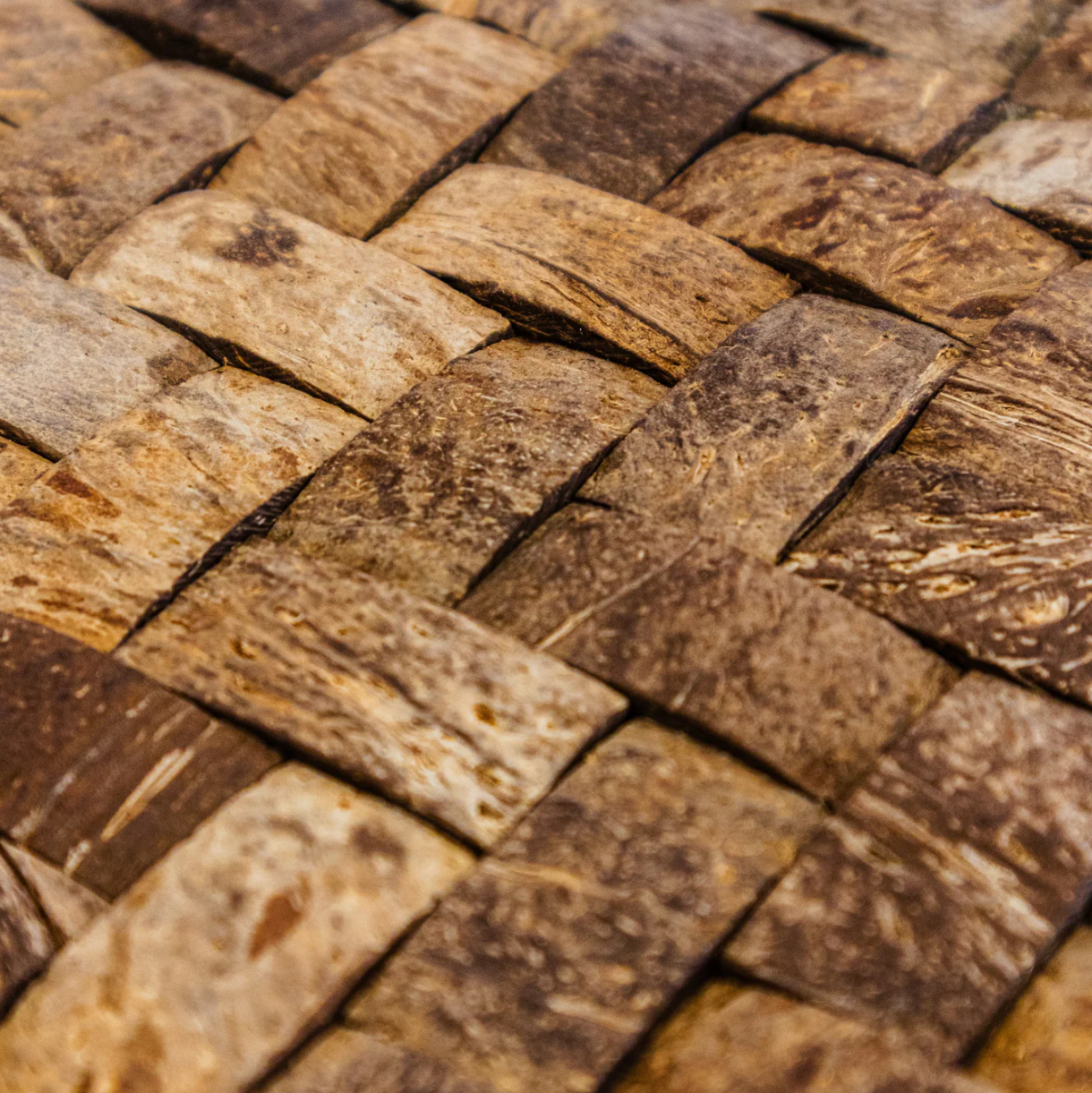 LAMINA PARED COCO 402