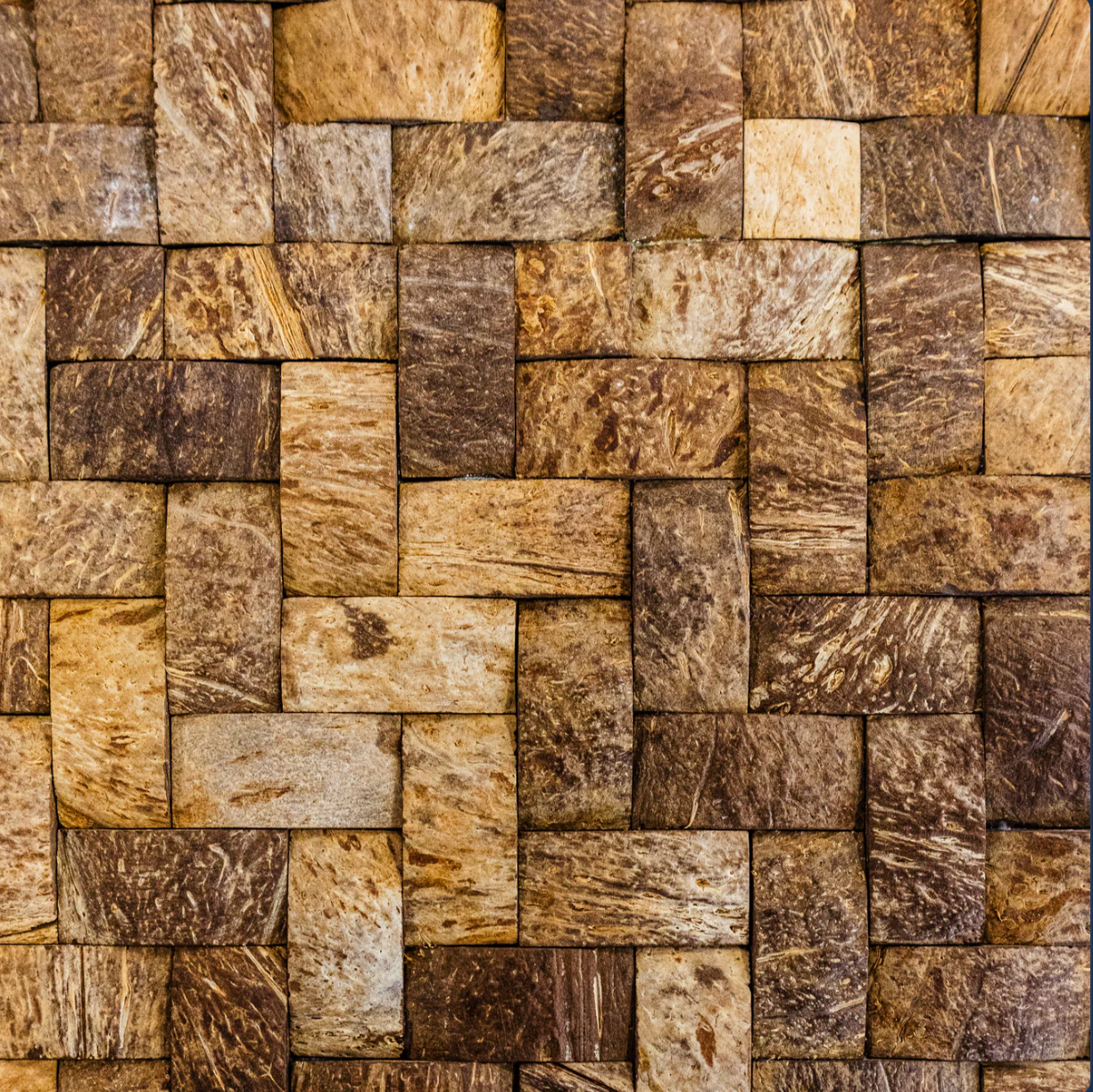 LAMINA PARED COCO 402