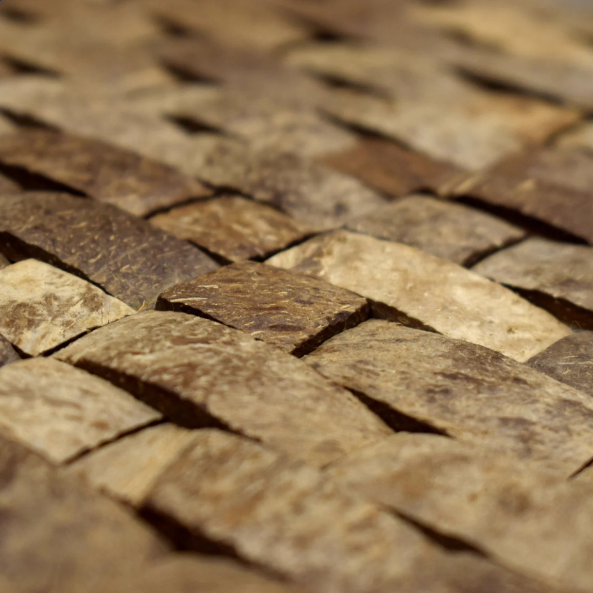 LAMINA PARED COCO 405