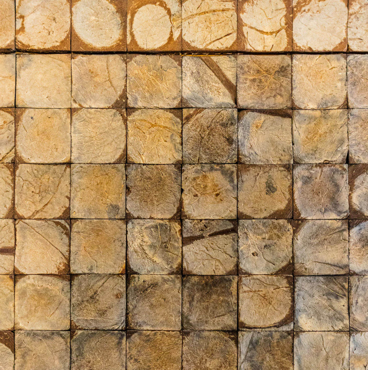 PARED COCO 406 x m2