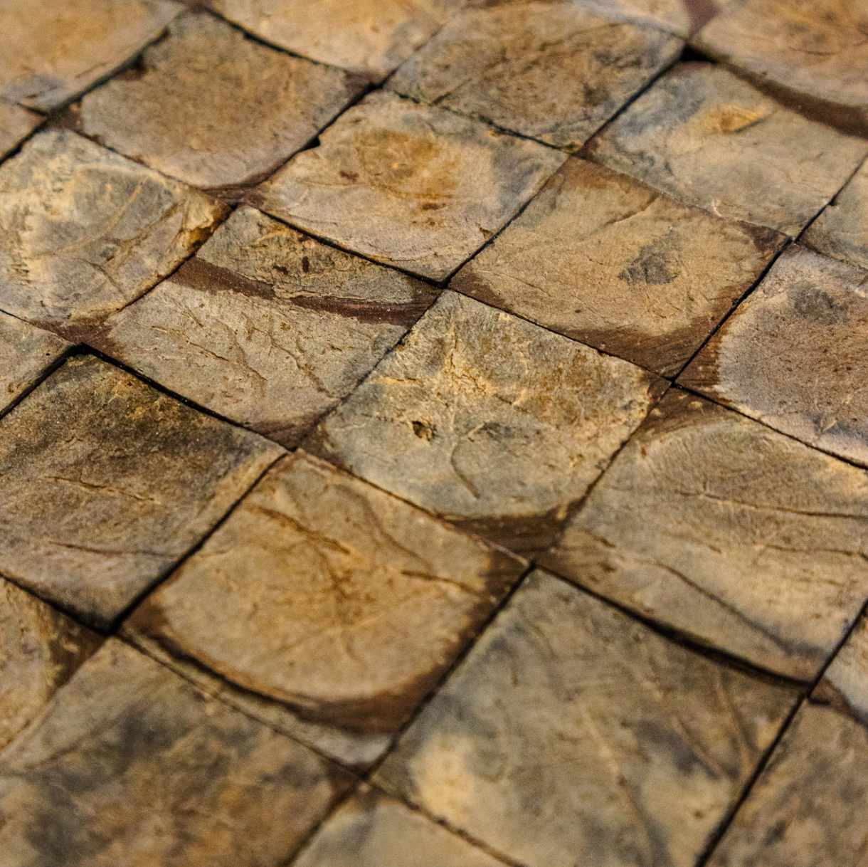 PARED COCO 406 x m2
