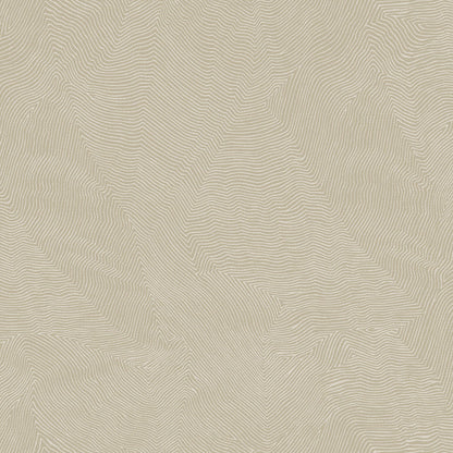 Papel de Colgadura Valentino A99929920 (Rollo)