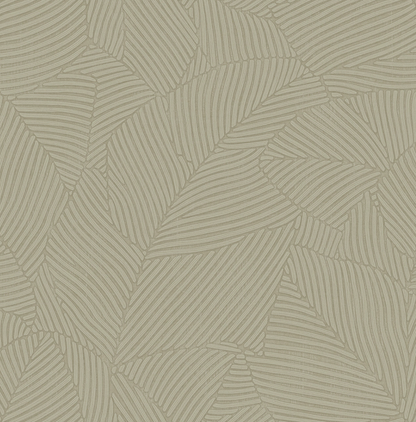 Papel de Colgadura Valentino 99951003 (Rollo Doble)