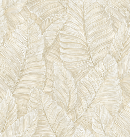 Papel de Colgadura Matera 531701 (Rollo Doble)