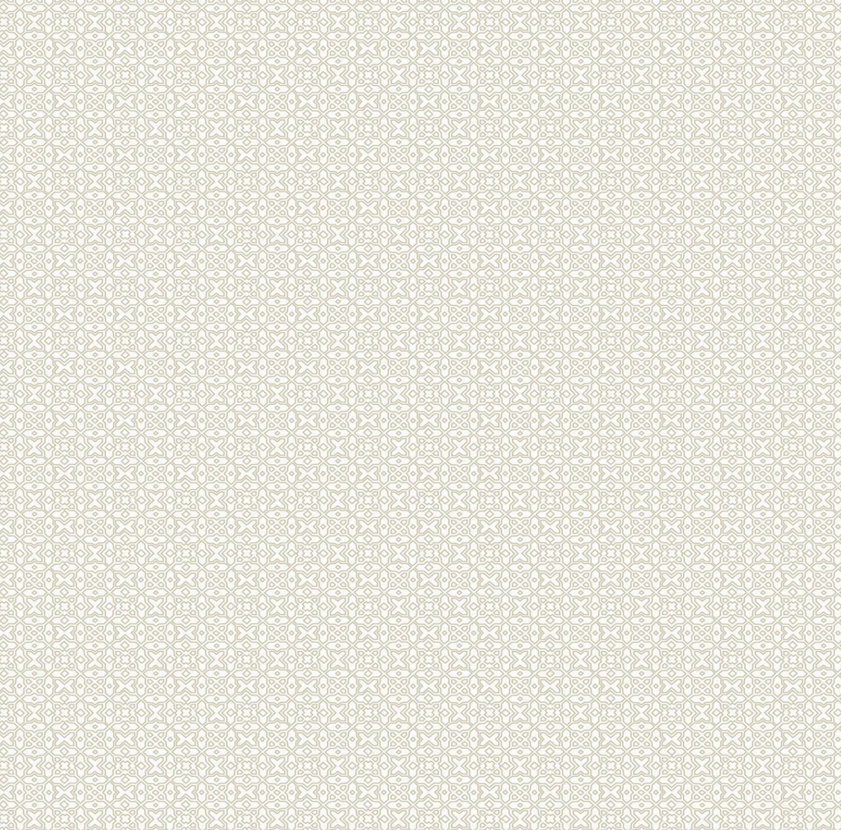 Papel de Colgadura AMARTI 9C030402 (Rollo)