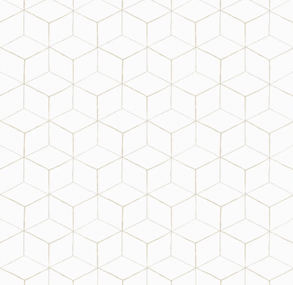 Papel de Colgadura AMARTI 9C010201 (Rollo)